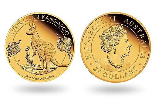 знаменитый кенгуру на золотых монетах Австралии
