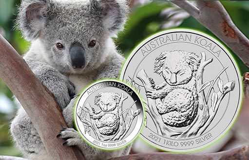 образ милого коалы на популярных австралийских монетах для инвестиций