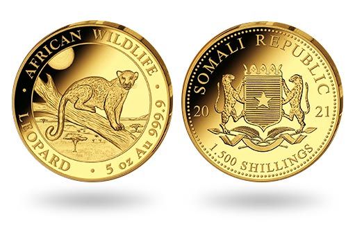 по эмитенту Сомали отчеканили золотые монеты Леопард