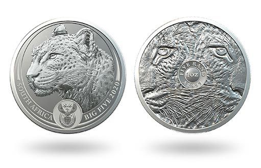 серебряные монеты ЮАР с изображением леопарда