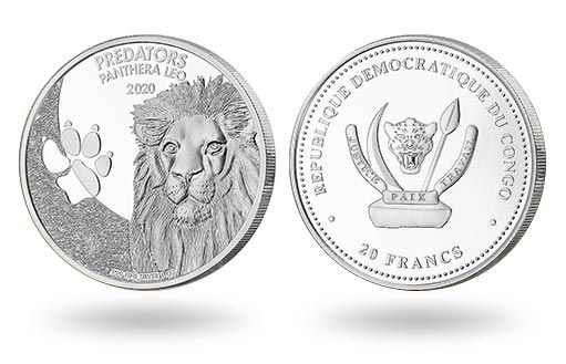 лев стал героем выпуска золотых монет Конго
