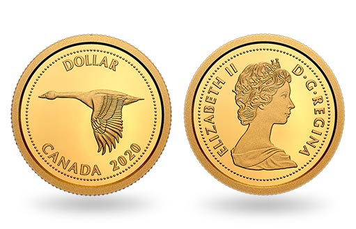 гагара на золотой монете Канады в честь Алекса Колвилла