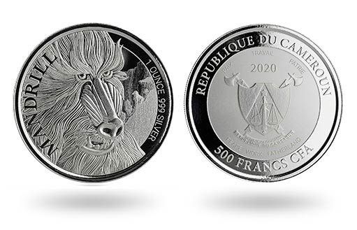 африканский мандрил стал героем выпуска камерунских монет из серебра