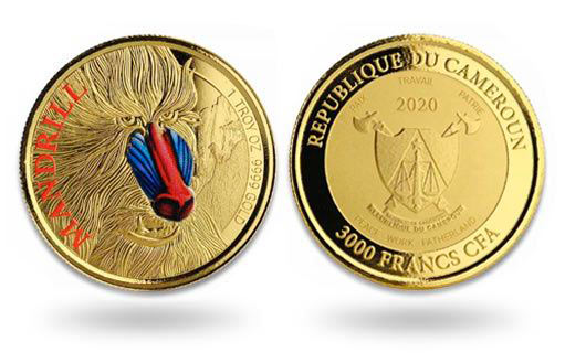 примат с необычайным окрасом стал героем выпуска монет Камеруна