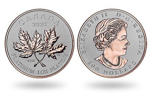 кленовые листья Канады на платиновых монетах