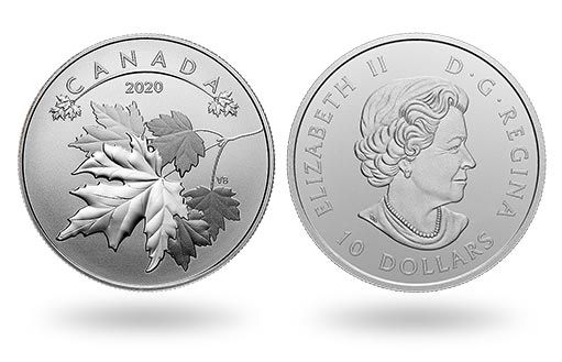 серебряные монеты Канады с кленовыми листьями