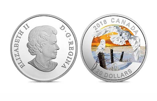 серебряная монета с полярной совой