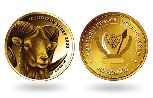 Конго посвятил золотые монеты толсторогому барану