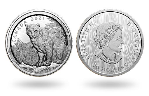 Канада посвятила серебряные монеты пуме