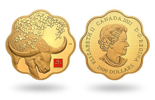 золотой лунар Канады с изображением быка