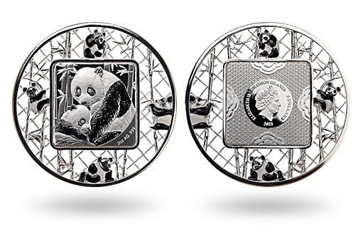 серебряные монеты Соломоновых островов с изображением панды