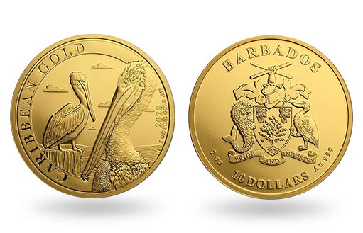 пеликаны Барбадоса на золотой монете