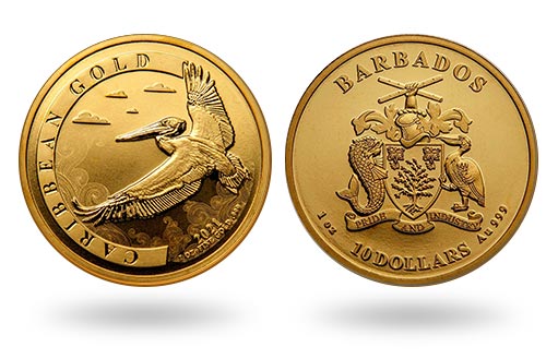 По заказу Барбадоса отчеканена золотая инвестиционная монета с изображением пеликана