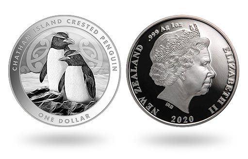 пингвин изображен на серебряных монетах Новой Зеландии
