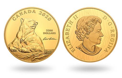 полярный медведь украшает канадские монеты из золота