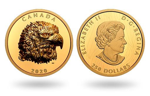 золотая монета Канады с рельефным изображением Белоголового орлана