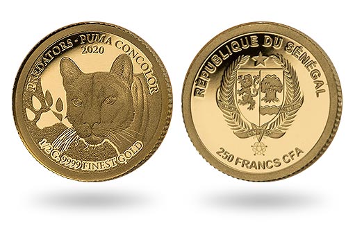 от имени Республики Сенегал отчеканена золотая монета с изображением пумы