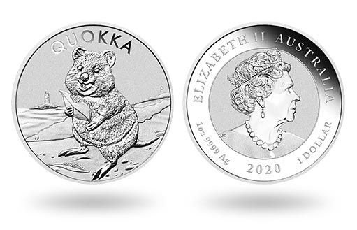милый квокка украшает серебряные монеты Австралии