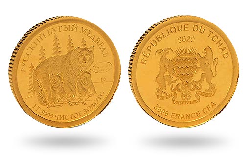 Республика Чад эмитировала юбилейный выпуск в наборе из двух монет с бурым медведем