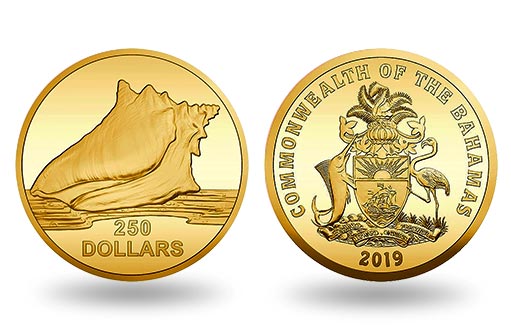 инвестиционная золотая монета с изображением ракушки