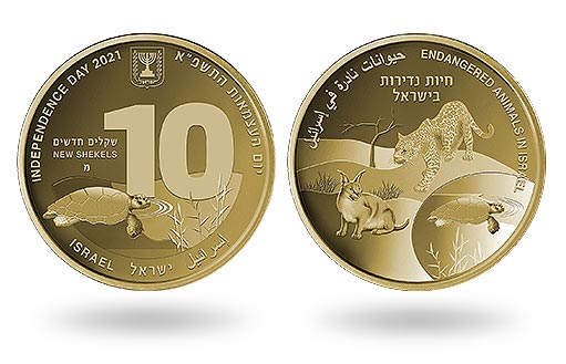 Израильский национальный банк выпустил золотую монету с морской черепахой