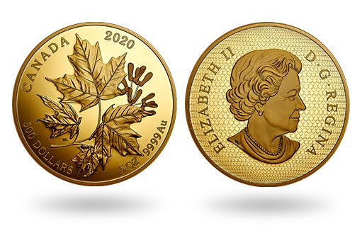 великолепные кленовые листья на золотых монетах Канады