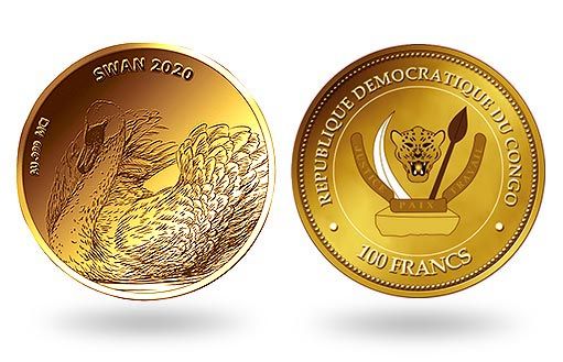прекрасный лебедь на золотой монете Конго