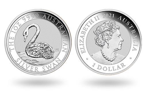 Австралия представила инвестиционную монету Серебряный лебедь