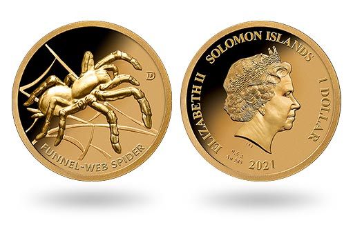 сиднейский паук расположился на золотой монете Соломоновых островов