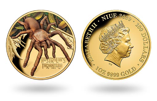 смертельно опасный тарантул на золотой монете Ниуэ
