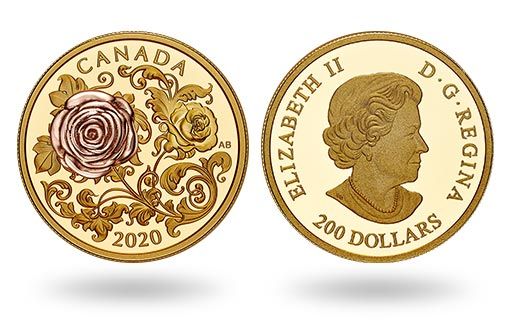 великолепный бутон розы для королевы на золотой монете Канады