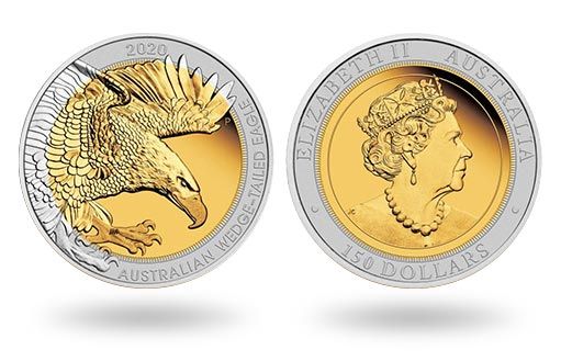 Клинохвостый орел украсил австралийские монеты из платины и золота