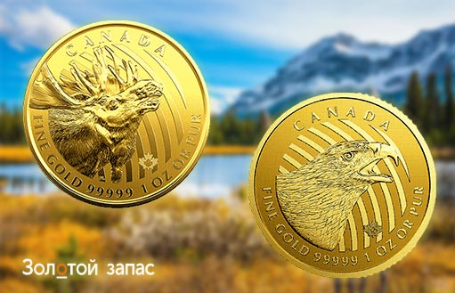 золотые инвестиционные монеты Канады «Лось» и «Орел»