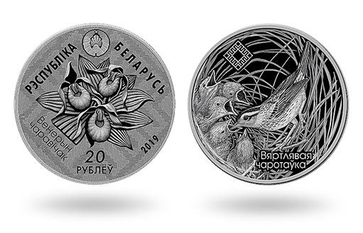 заказник «Званец» изображен на серебряных монетах Беларуси