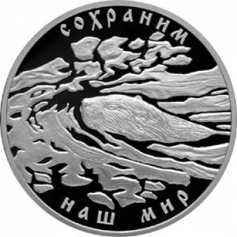 Речной бобр. Сохраним наш мир: серебряная монета 3 рубля / серебро 31.1 грамма, СПМД 2008 год - 1