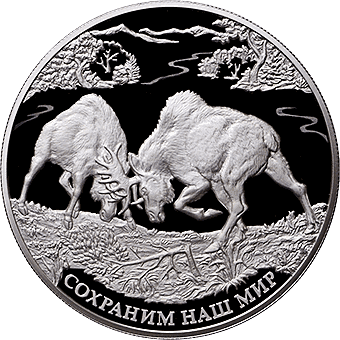Лось. Сохраним наш мир: серебряная монета 25 рублей / серебро 155,5 грамма чеканки ММД 2015 года - 1