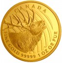 Золотая монета «Олень» серии «Зов природы»: золото 31.1 гр